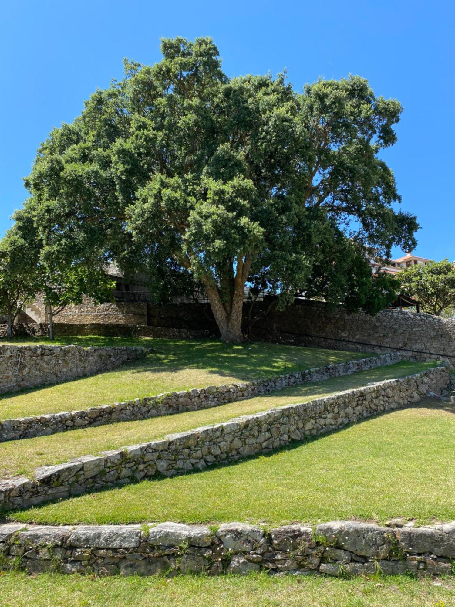 Ferienwohnung Apartamento Para 5 Con Vistas A Portugal A Guarda Exterior foto